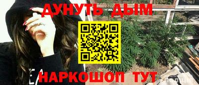 стаф Камышлов