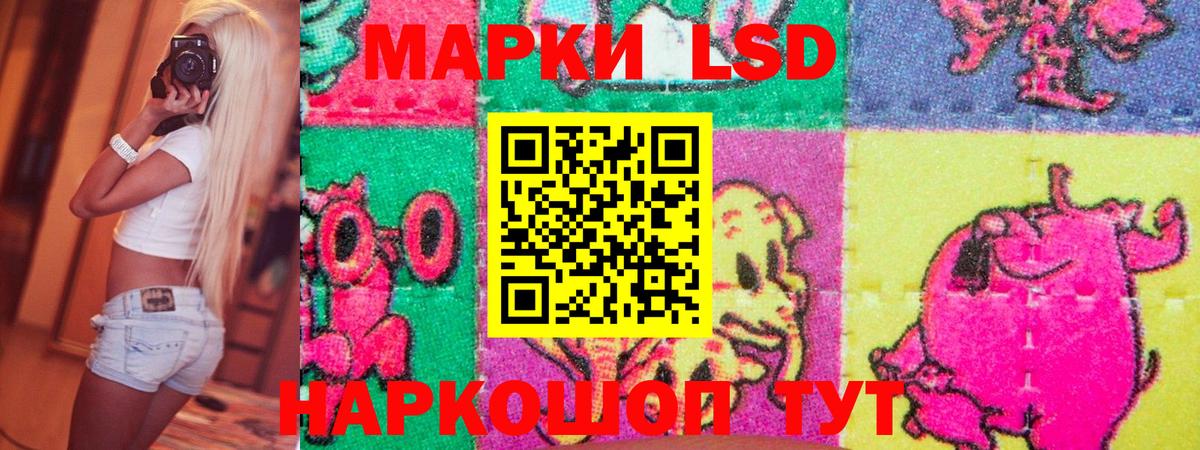 Наркотические марки 1500мкг  Наркотические марки 1500мкг  Вход с VPN  Электрогорск 