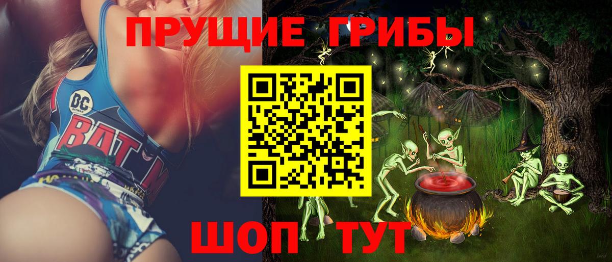 Электрогорск  Галлюциногенные грибы прущие грибы  Вход с VPN 