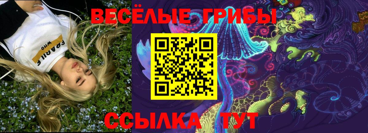 Галлюциногенные грибы Magic Shrooms Электрогорск